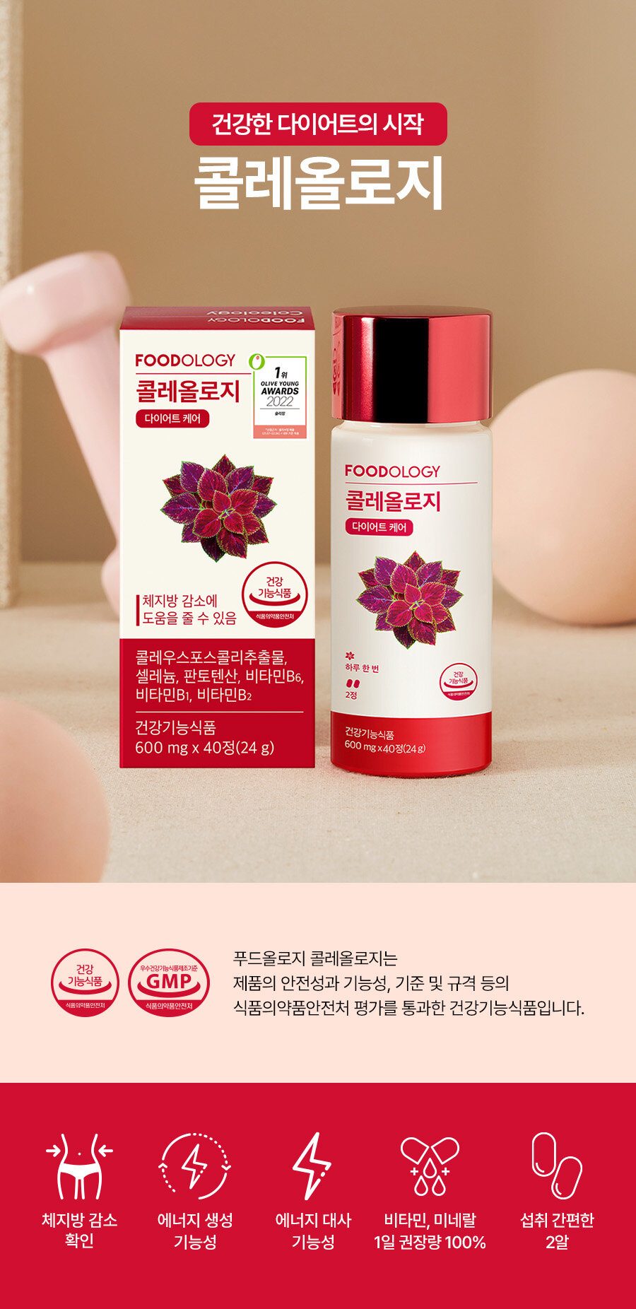 콜레올로지 600mg * 30+10정 추가증정
