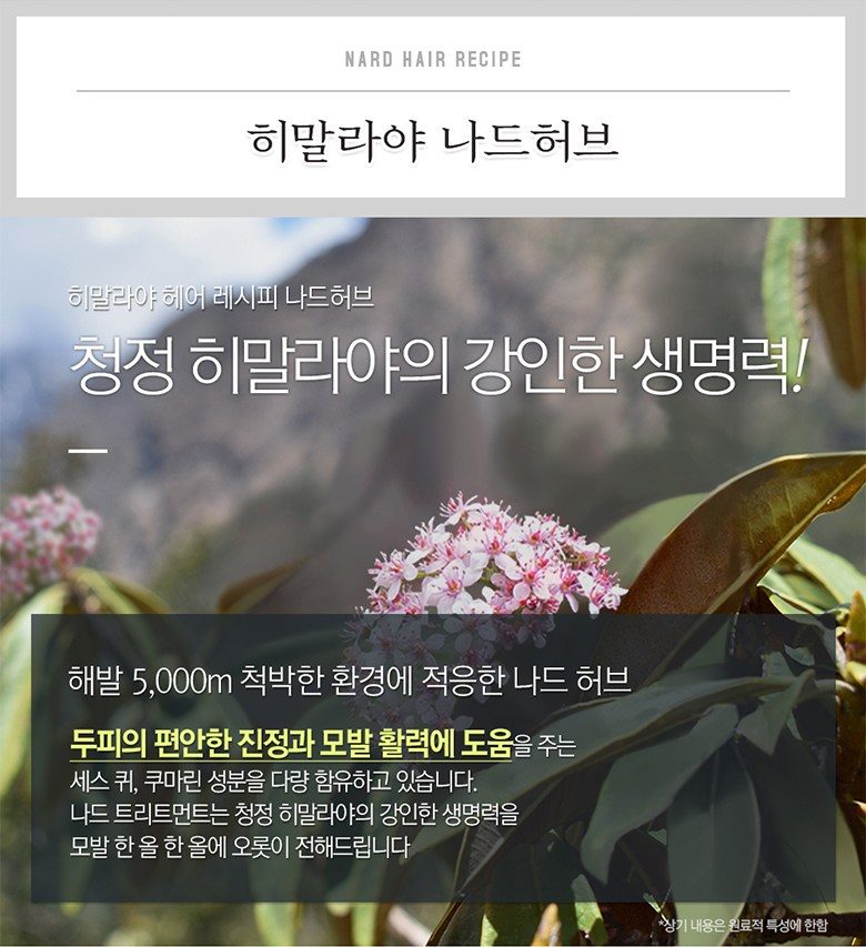 나드 히말라야 허브 나드 샴푸린스 세트