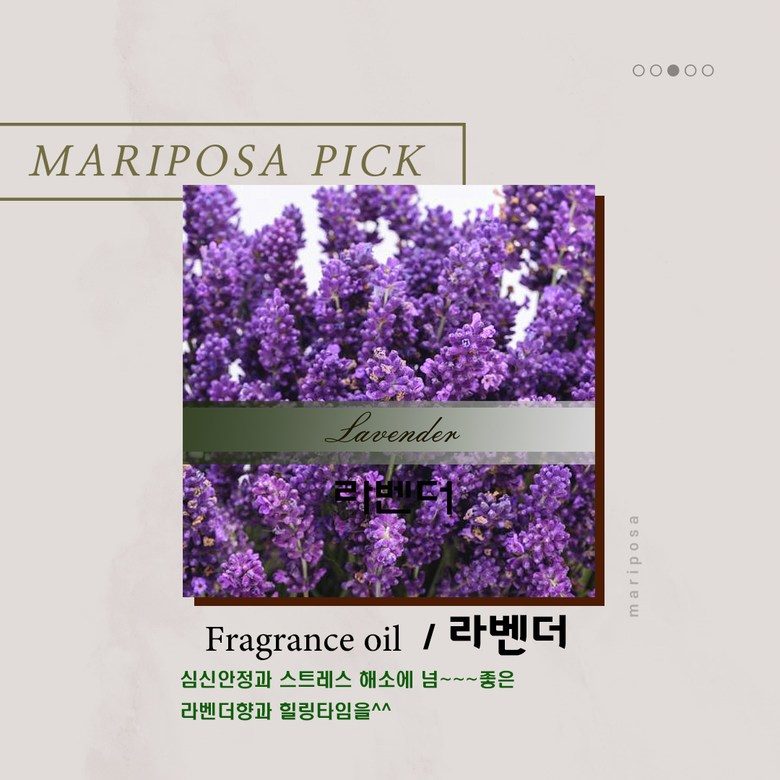 마리포사 디퓨저 핑크솔트 클래식장미 조명등디퓨저 150ml