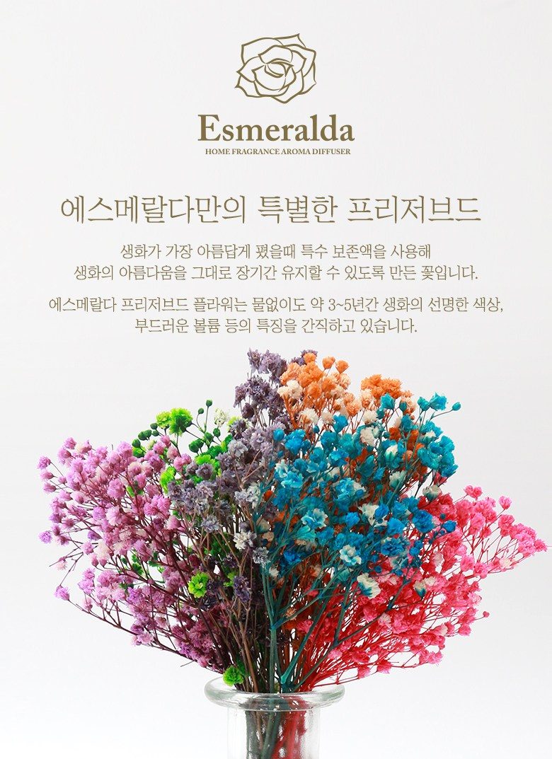 에스메랄다 대용량 디퓨저 300ml 2세트